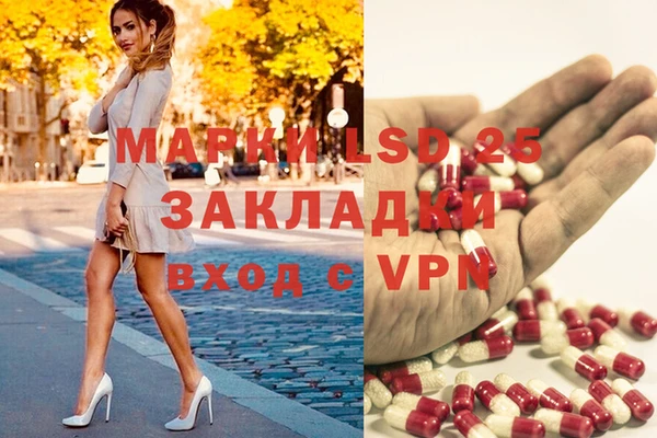шишки Бронницы