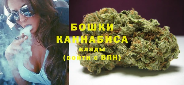 шишки Бронницы