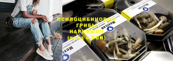 a pvp Бородино