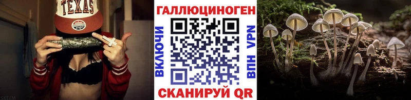 Галлюциногенные грибы Psilocybe  Купить закладки  Тимашёвск 
